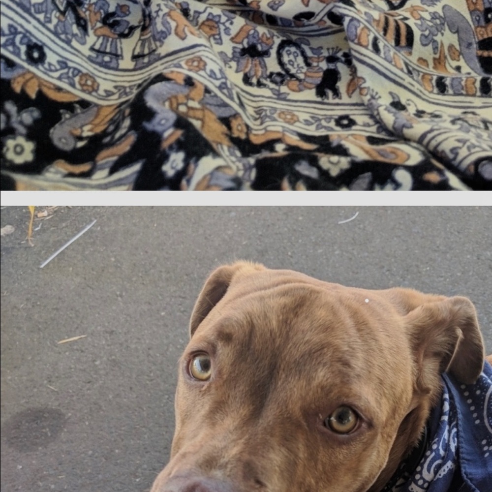 Meet your Posher, Ivy